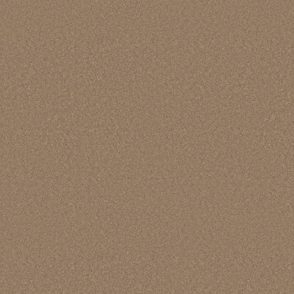 TEXTURE BCF