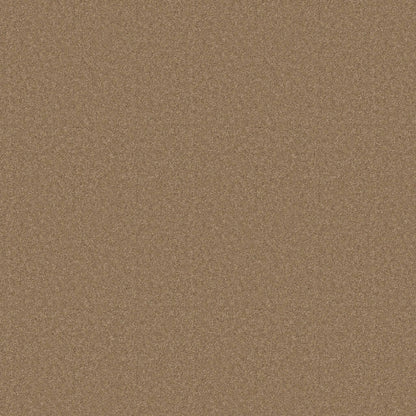 TEXTURE BCF