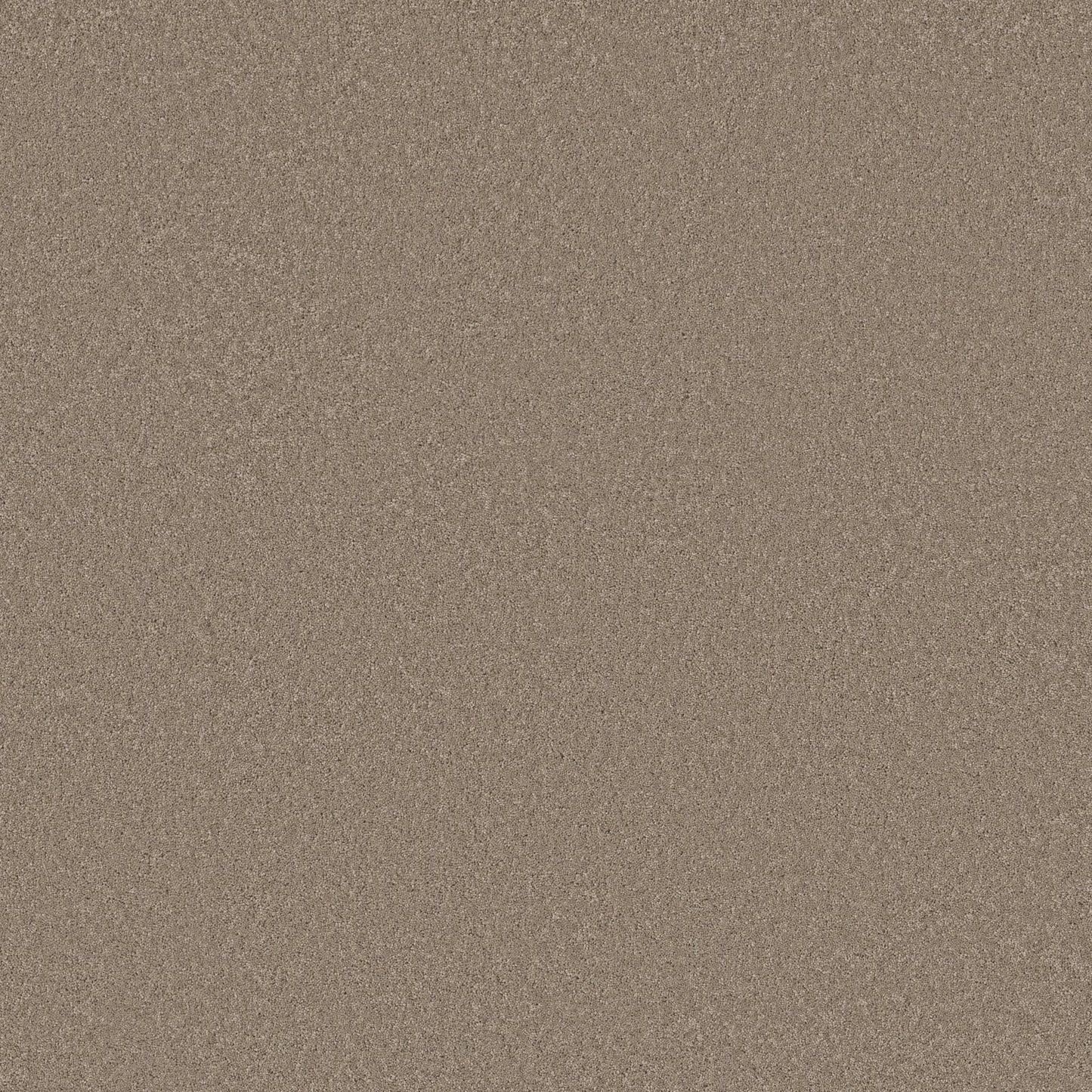 TEXTURE BCF
