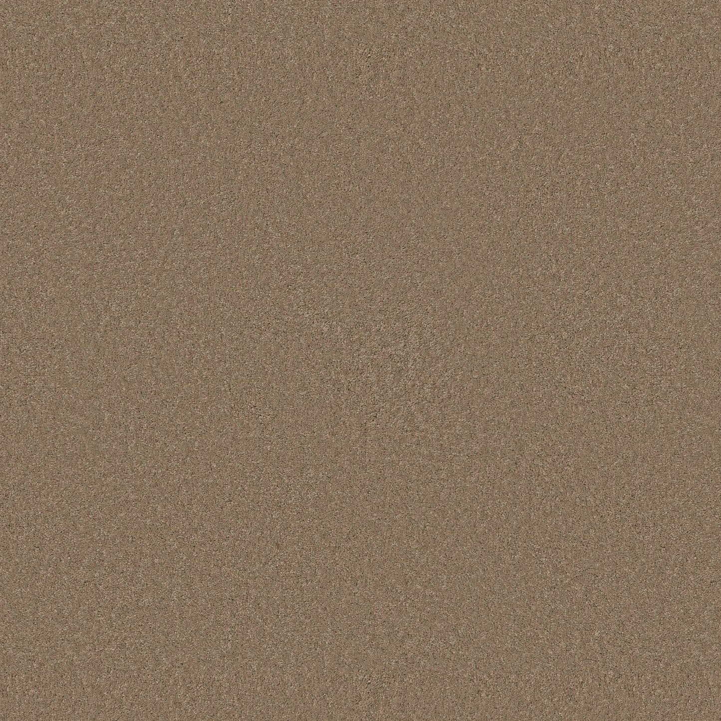 TEXTURE BCF