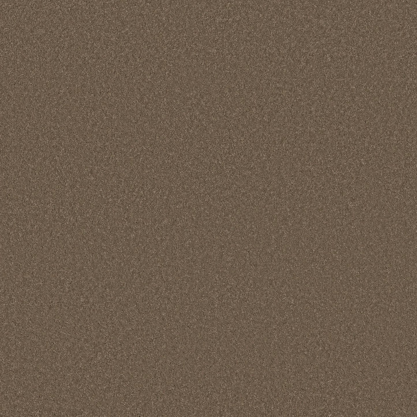 TEXTURE BCF