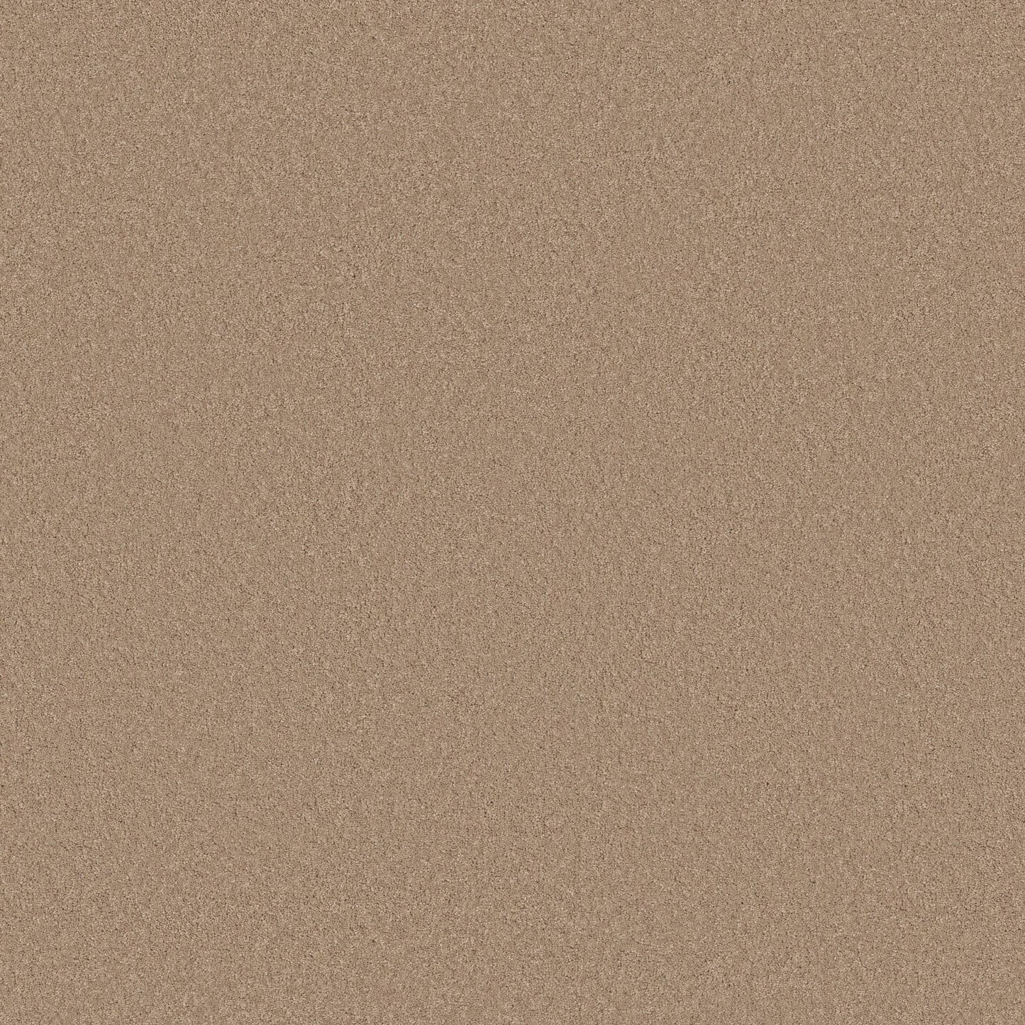 TEXTURE BCF