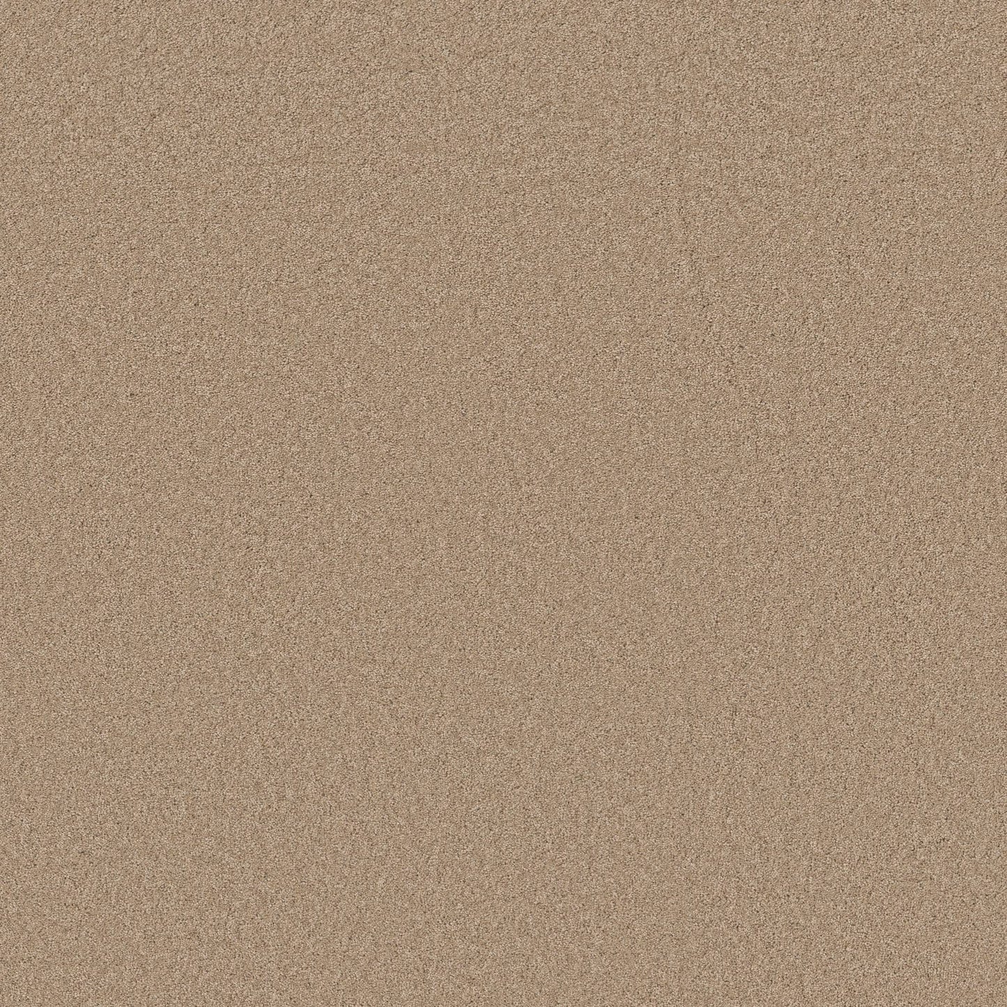 TEXTURE BCF