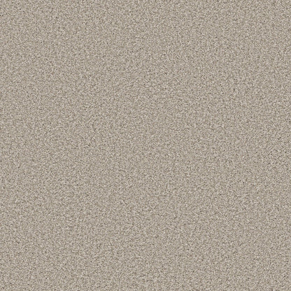 TEXTURE BCF