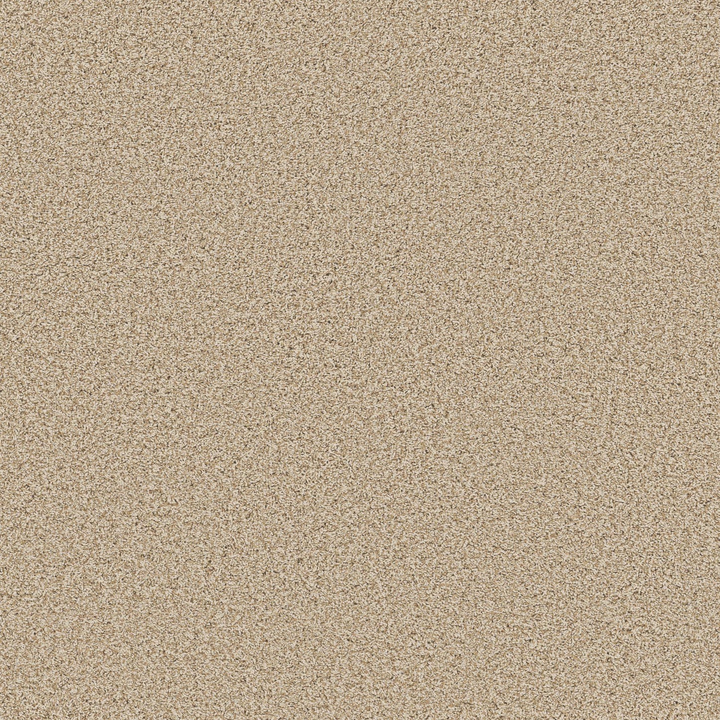 TEXTURE BCF