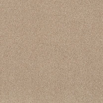 TEXTURE BCF