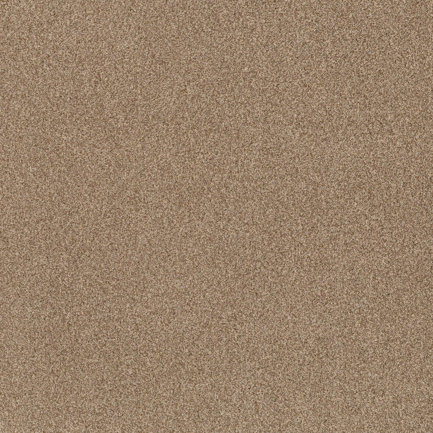 TEXTURE BCF