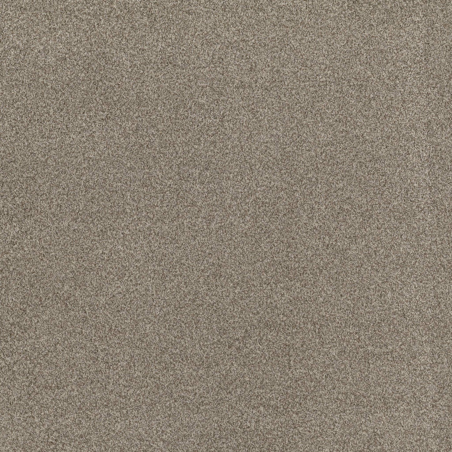 TEXTURE BCF