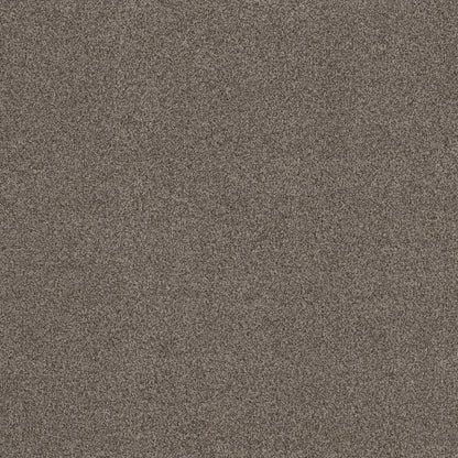 TEXTURE BCF