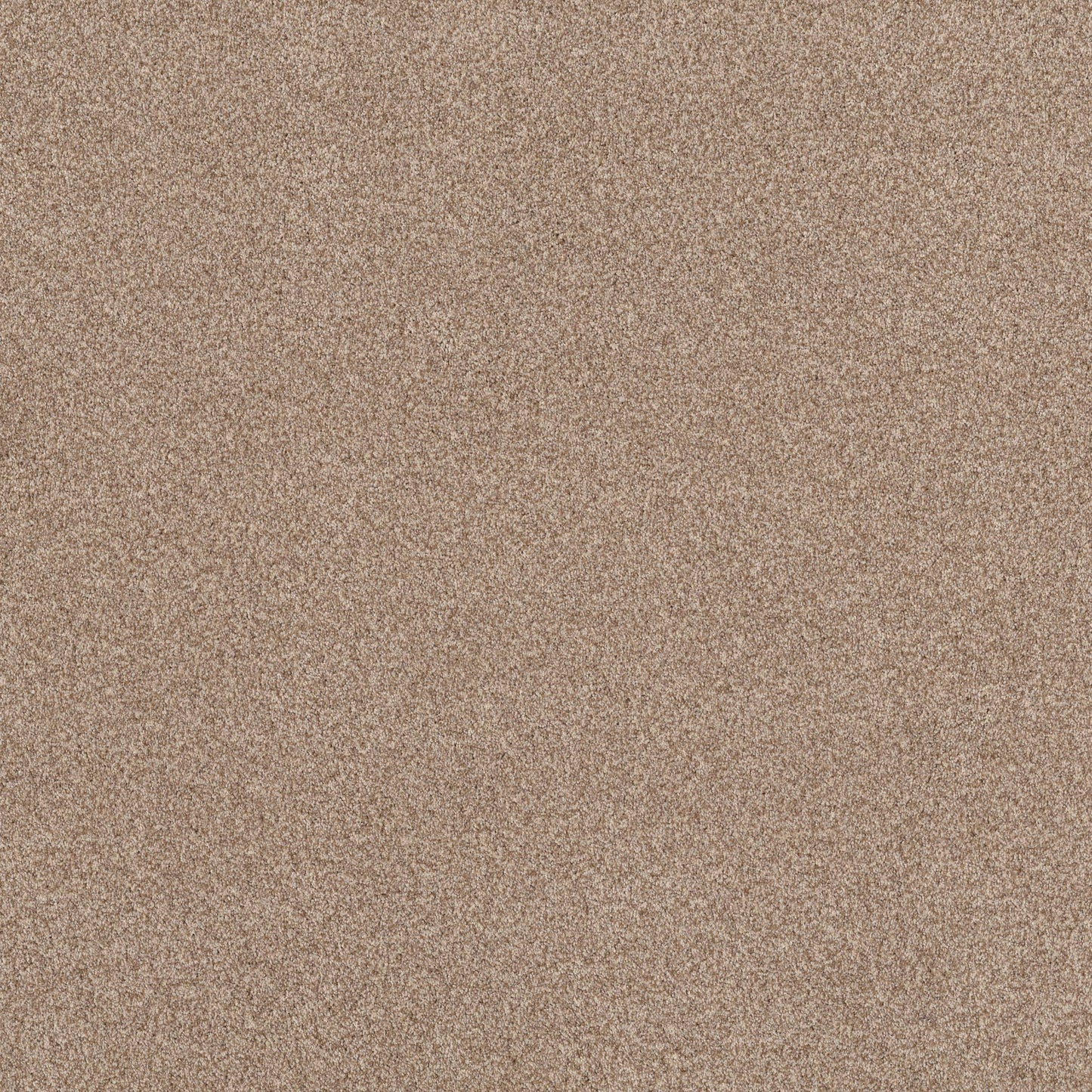 TEXTURE BCF