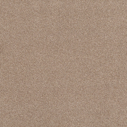 TEXTURE BCF