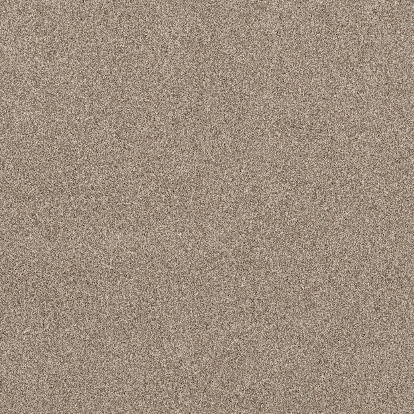 TEXTURE BCF