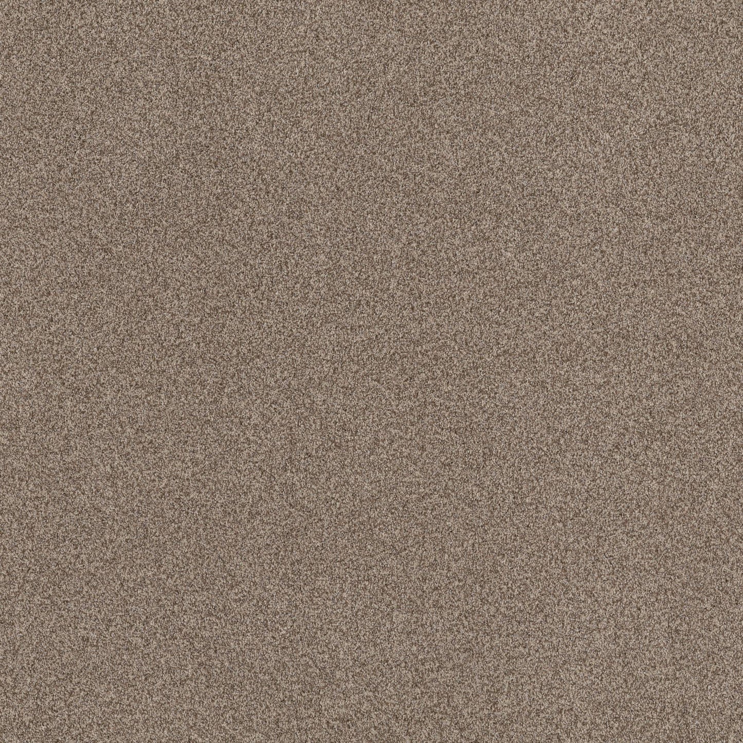 TEXTURE BCF