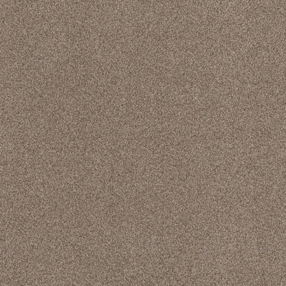 TEXTURE BCF