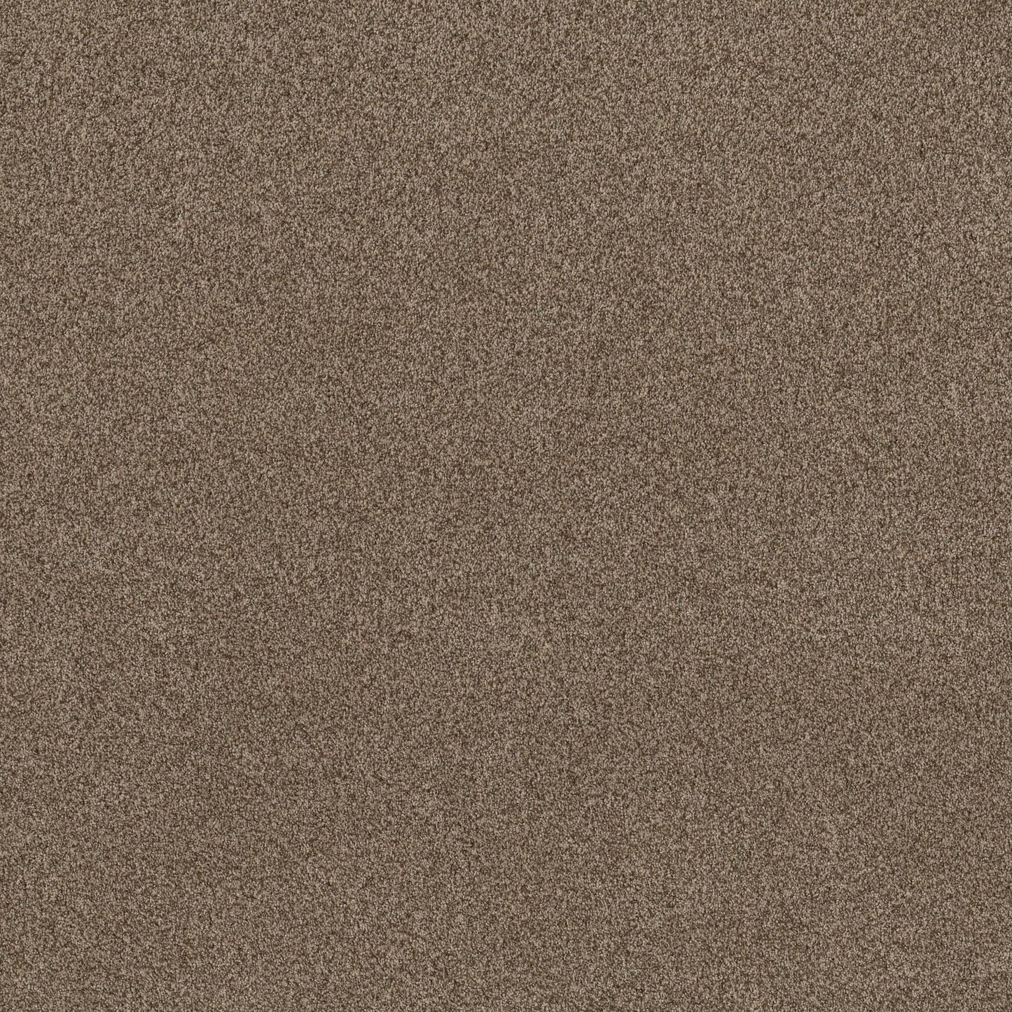 TEXTURE BCF