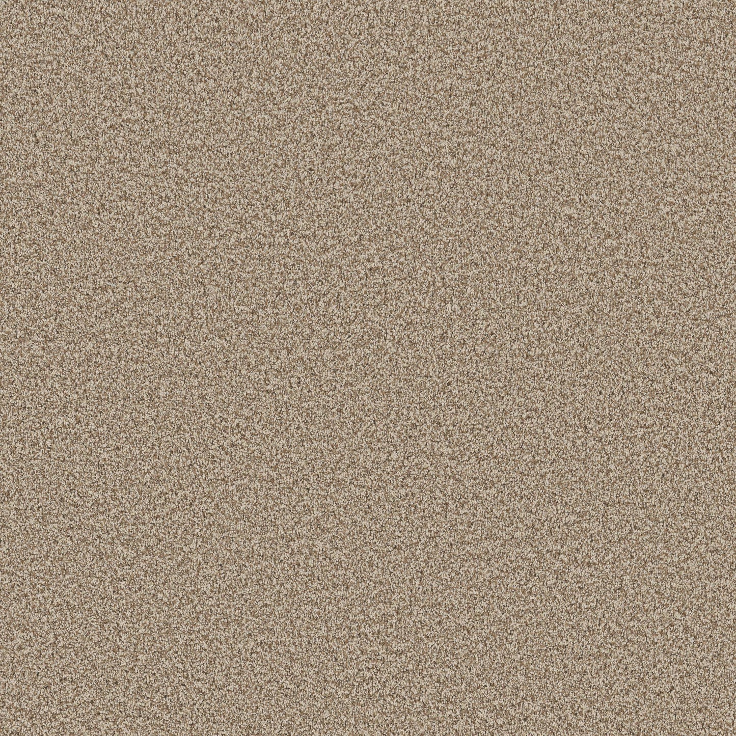 TEXTURE BCF