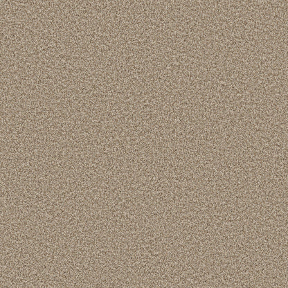 TEXTURE BCF