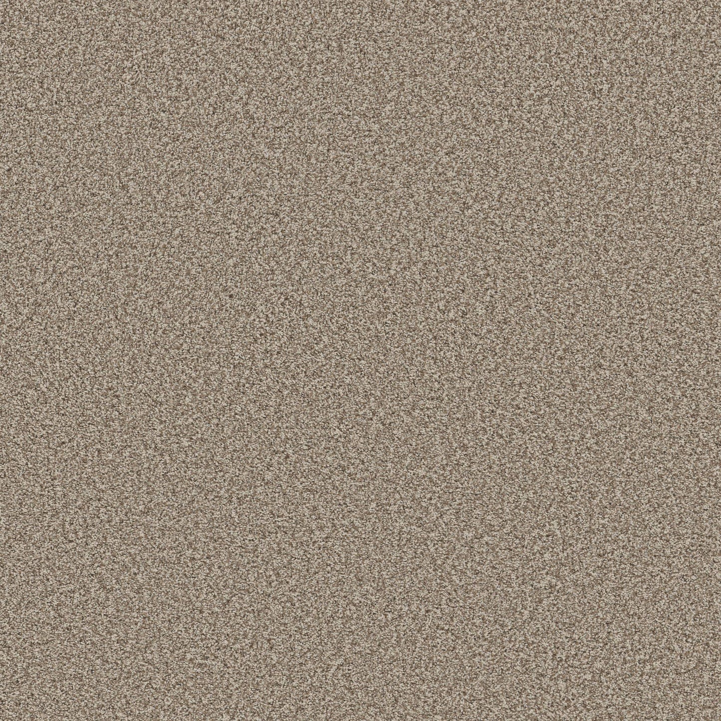 TEXTURE BCF
