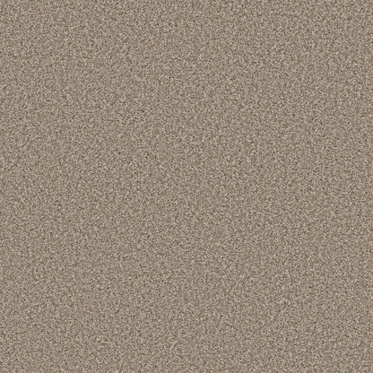 TEXTURE BCF