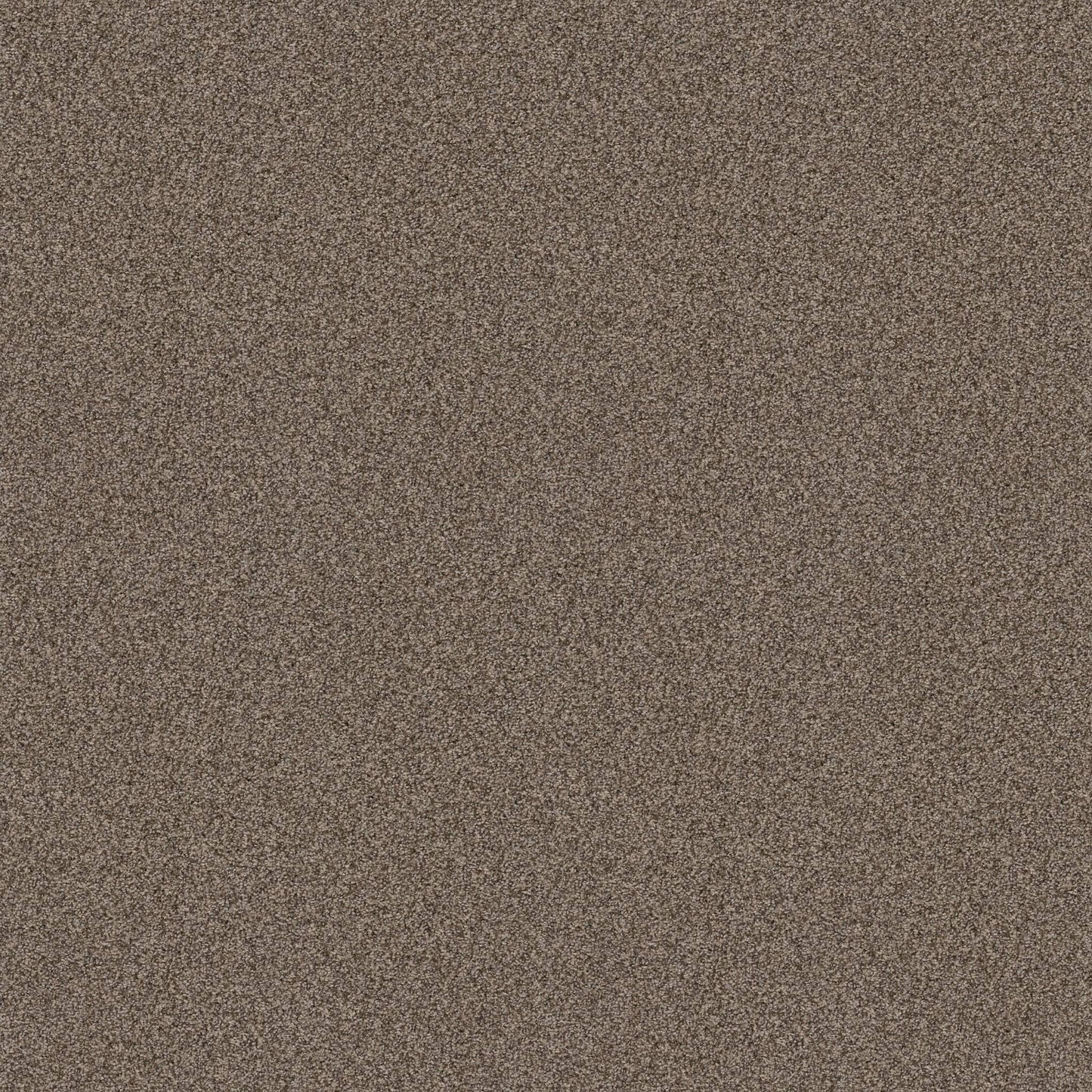 TEXTURE BCF