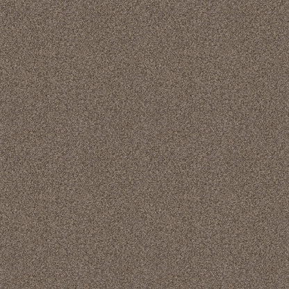 TEXTURE BCF