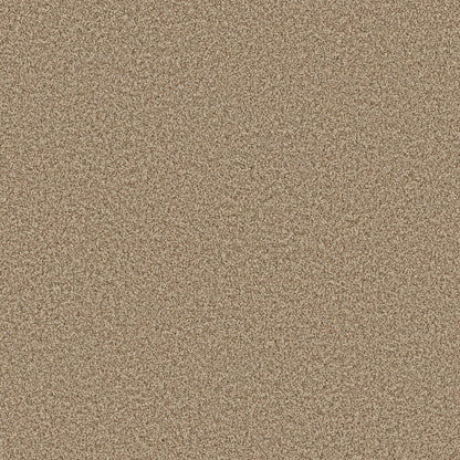 TEXTURE BCF