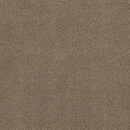 TEXTURE BCF