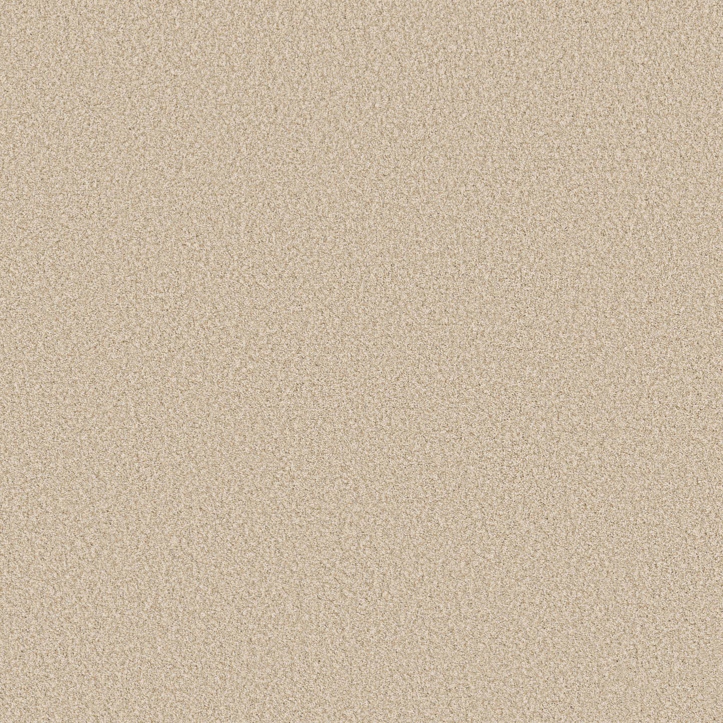 TEXTURE BCF