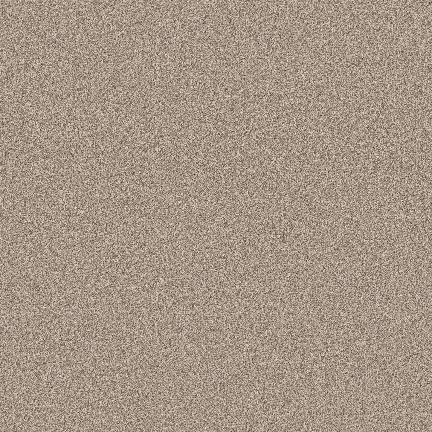 TEXTURE BCF