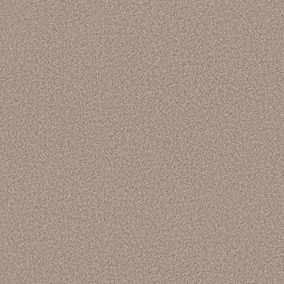 TEXTURE BCF
