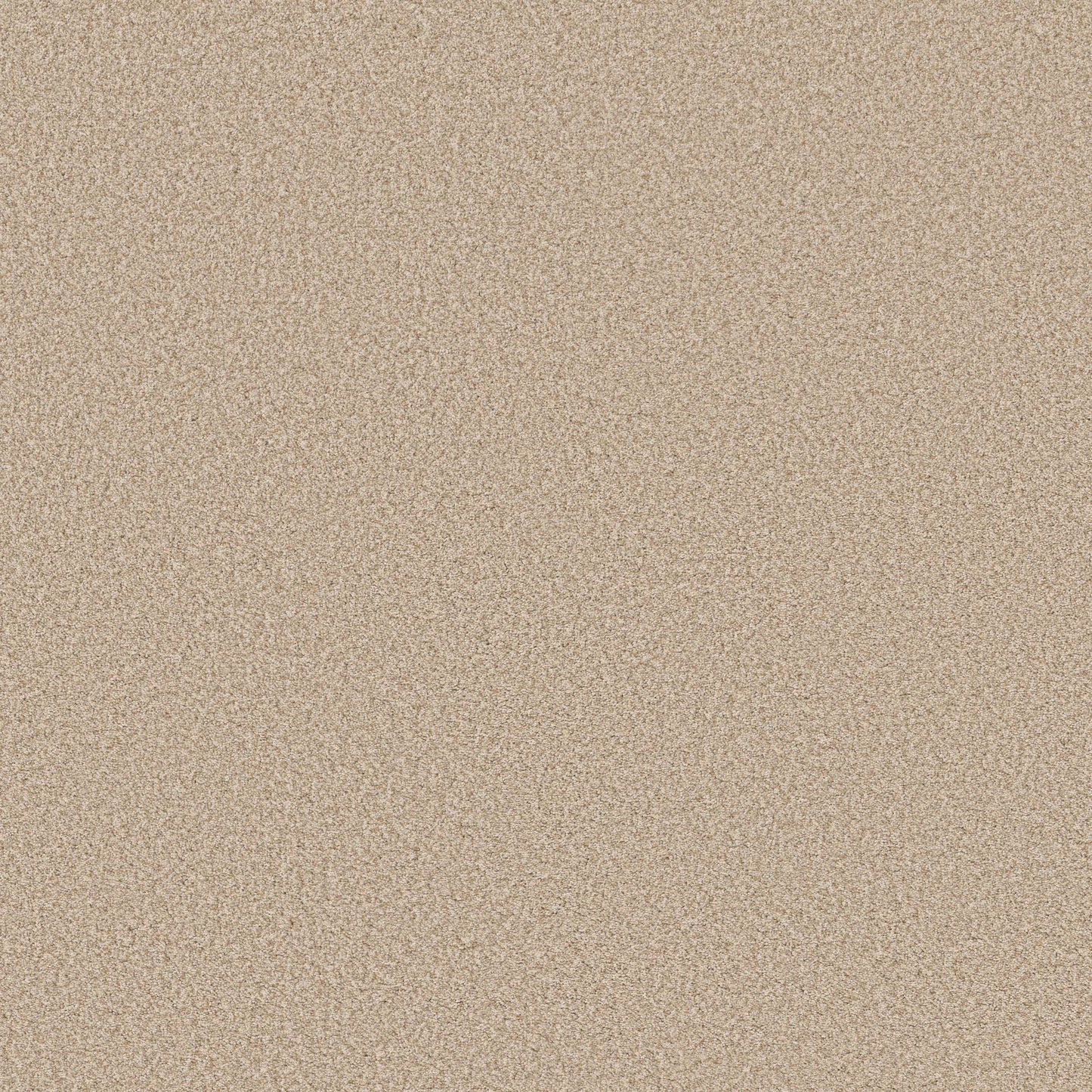 TEXTURE BCF