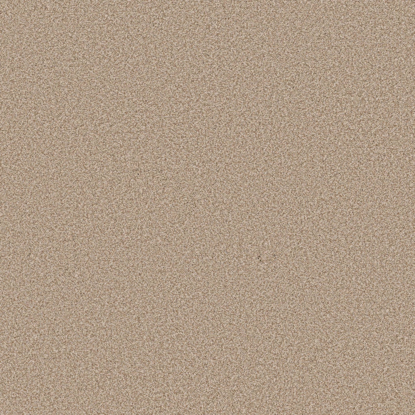 TEXTURE BCF