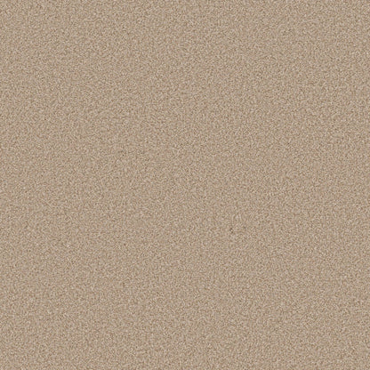 TEXTURE BCF