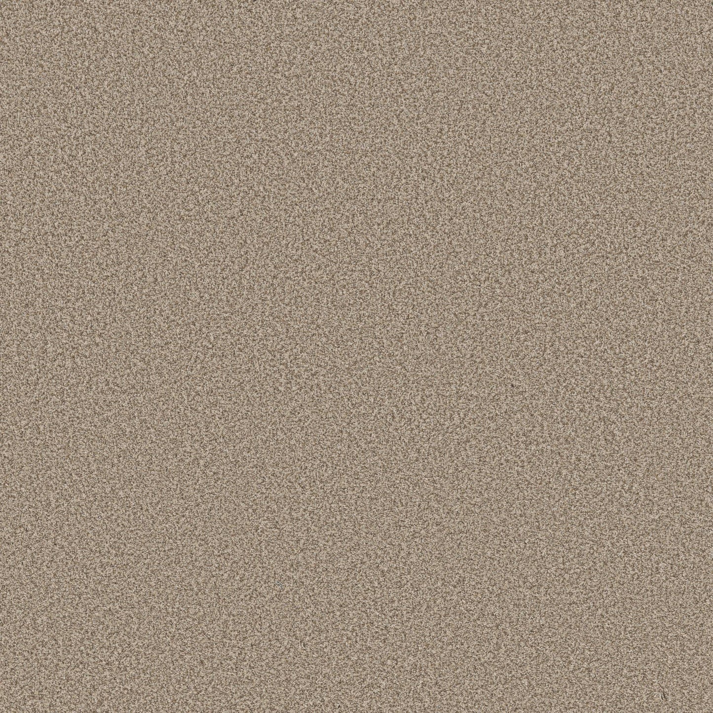 TEXTURE BCF