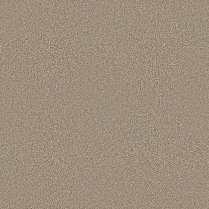 TEXTURE BCF
