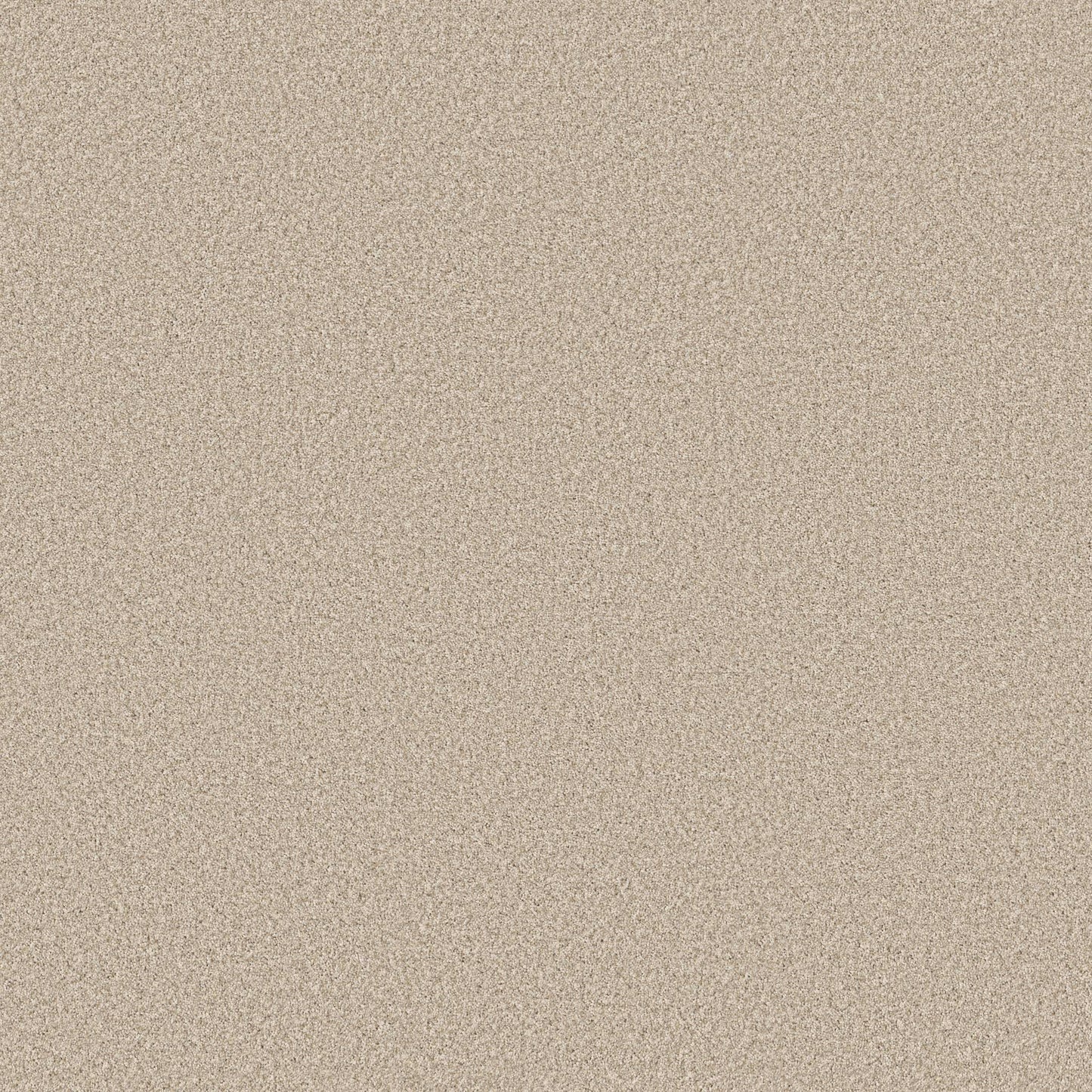 TEXTURE BCF
