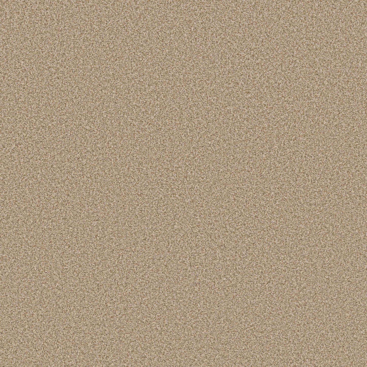 TEXTURE BCF