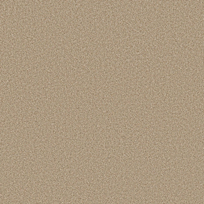 TEXTURE BCF