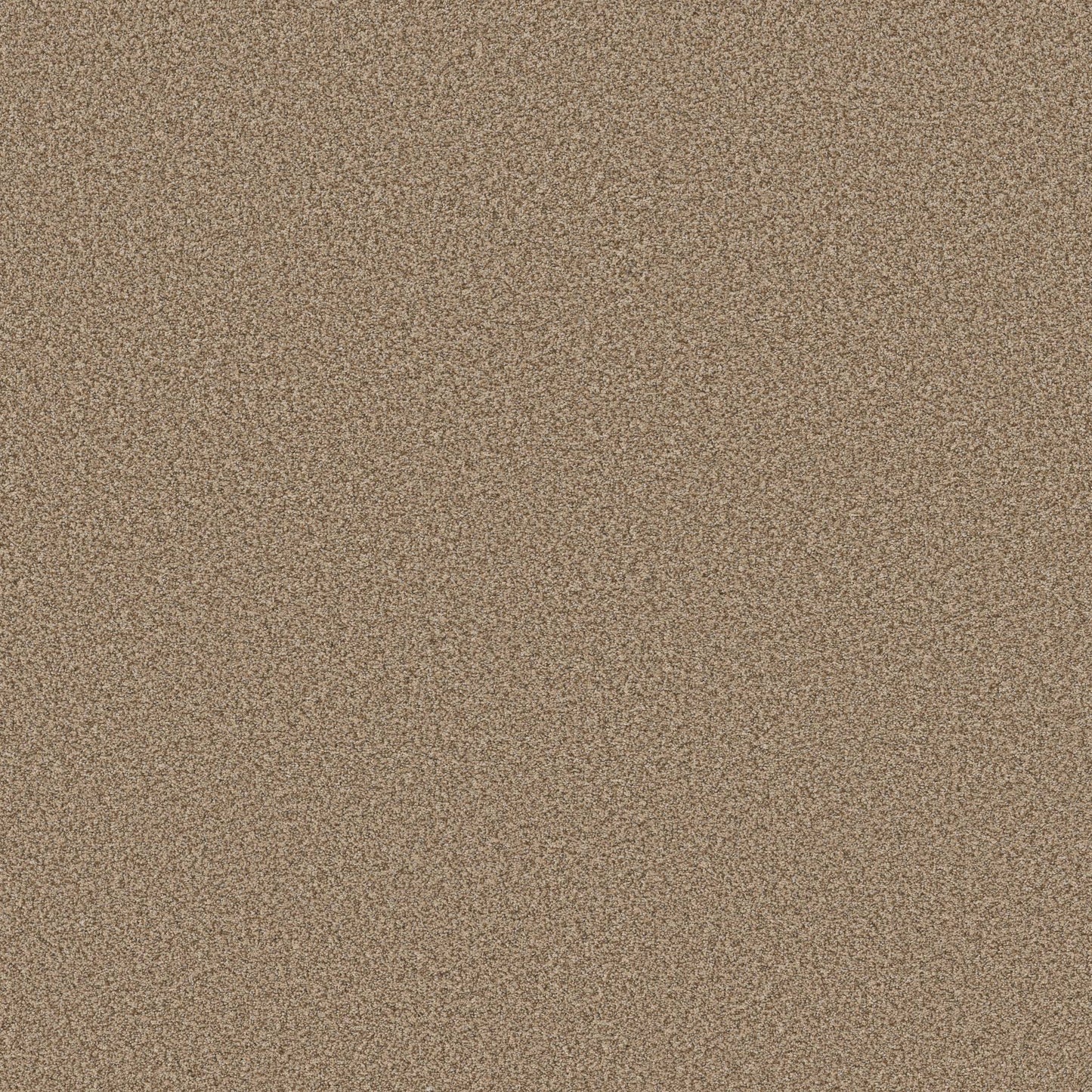 TEXTURE BCF