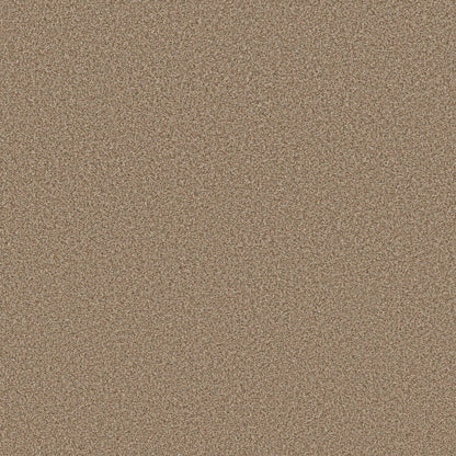 TEXTURE BCF