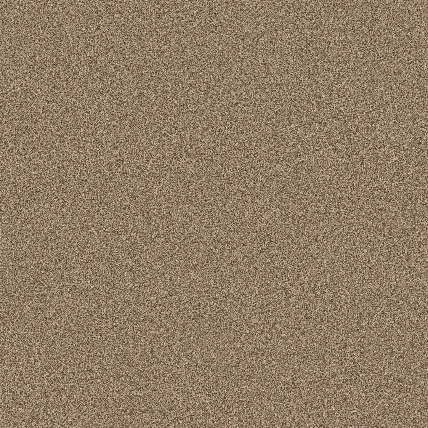 TEXTURE BCF