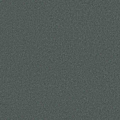 TEXTURE BCF