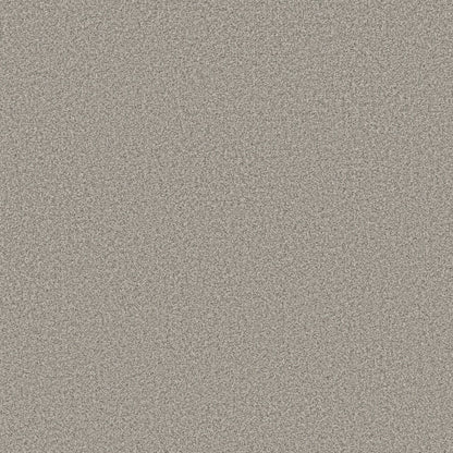 TEXTURE BCF