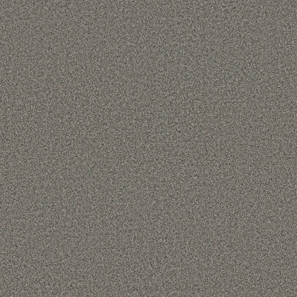 TEXTURE BCF