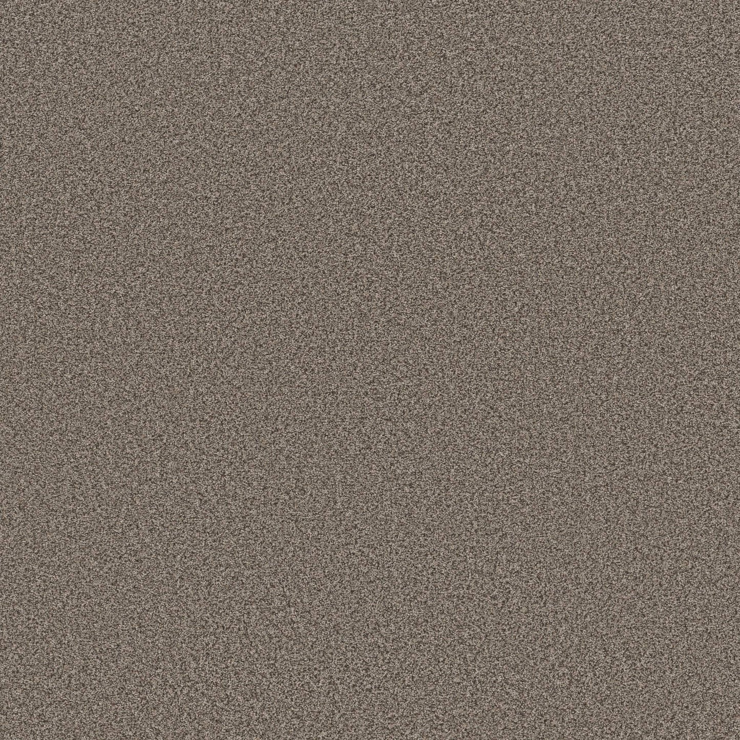 TEXTURE BCF