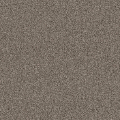 TEXTURE BCF