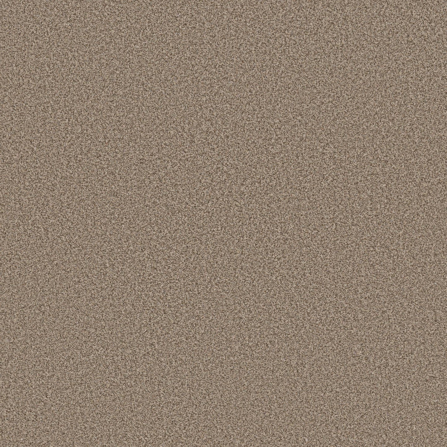 TEXTURE BCF