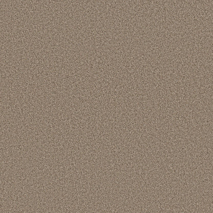 TEXTURE BCF