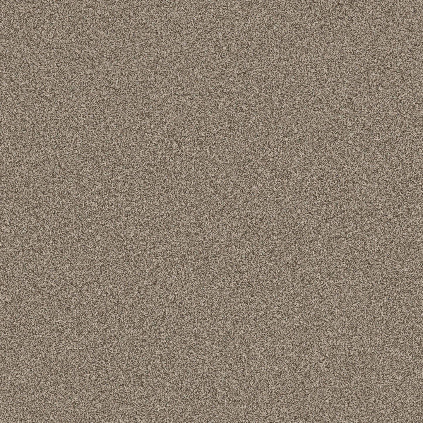 TEXTURE BCF