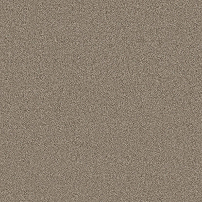 TEXTURE BCF